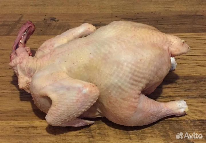 Куры бройлеры тушки мясо