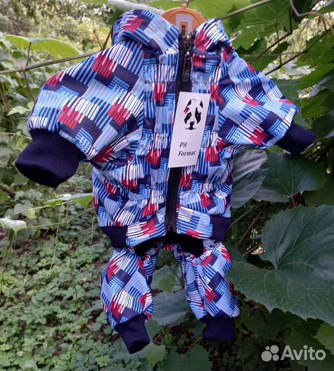 Одежда для собак