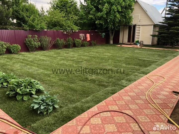 Рулонный газон, укладка, продажа