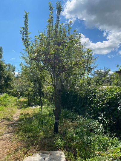 Дача 15 м² на участке 4 сот.