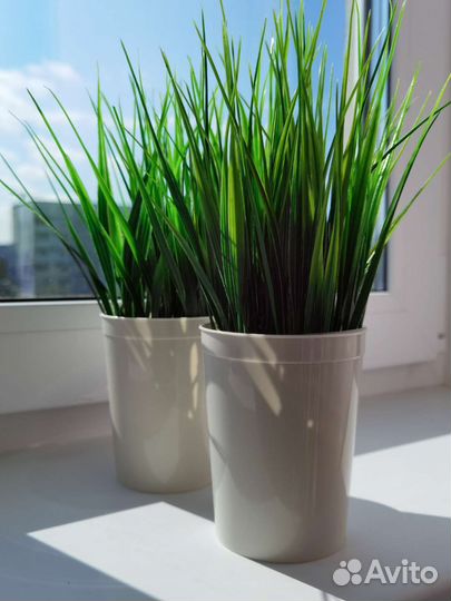 Искусственная зелень в кашпо