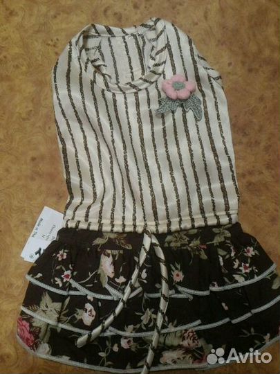 Вещи для маленькой собачки