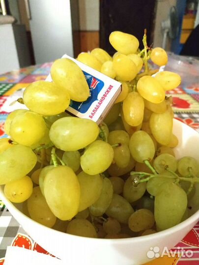 Черенки и саженцы винограда