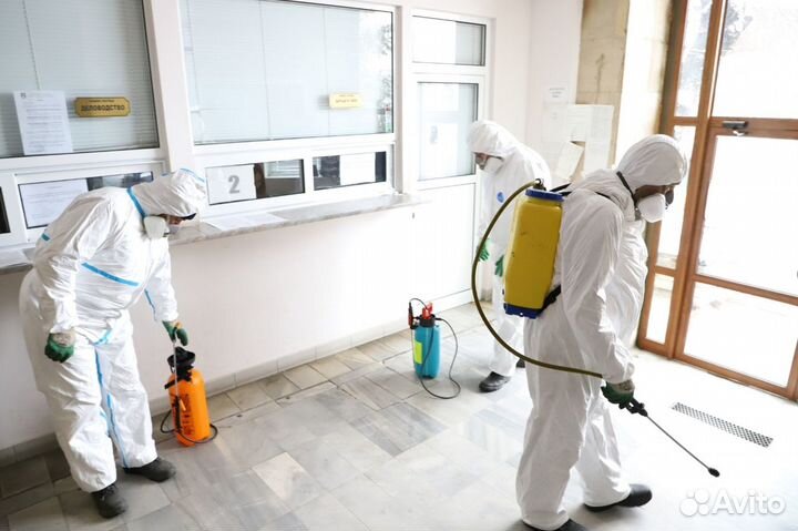 Дезинфекция дезинсекция уничтожение насекомых