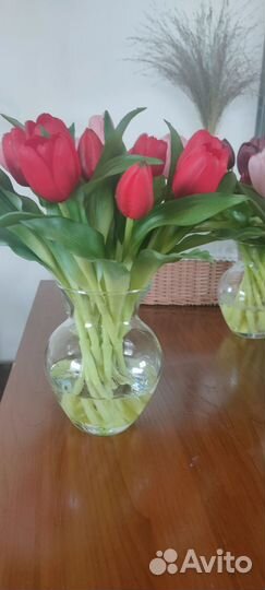 Цветы тюльпаны