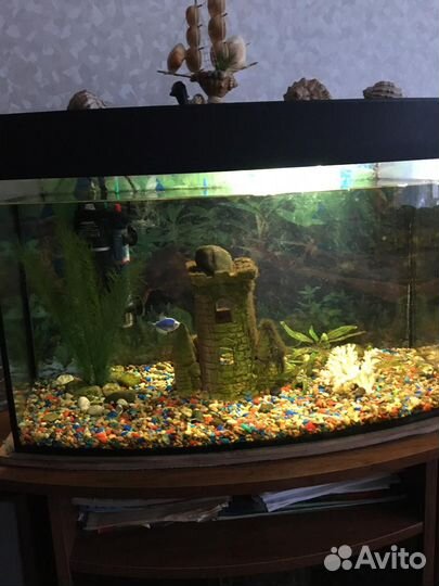 Аквариум