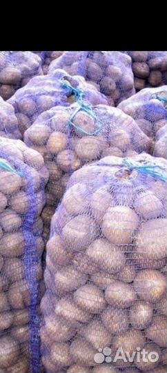 Продам картофель с доставкой