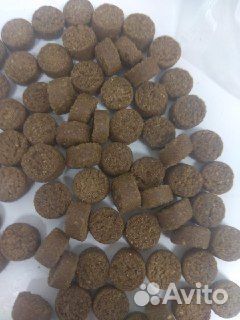 Корм для собак сухой