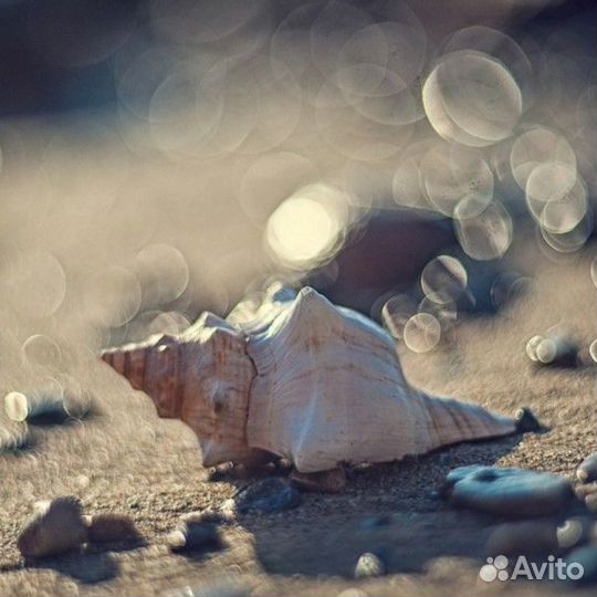 Fujifilm x t 20 с комплектом