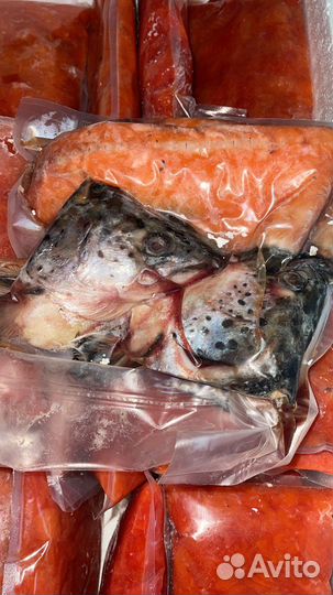 Набор из Семги