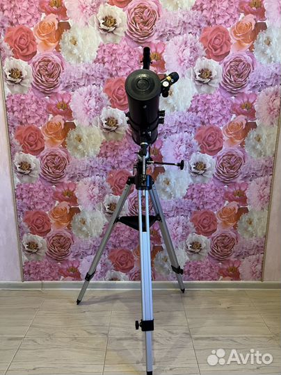 Телескоп Levenhuk Skyline 120x1000 EQ