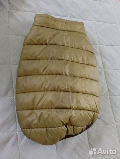 Одежда для маленьких собак