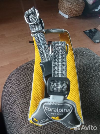 Шлейка для маленькой собаки