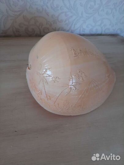 Раковина ракушка