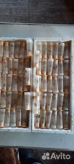 Пчеломатки карника