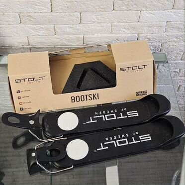 Горные лыжи