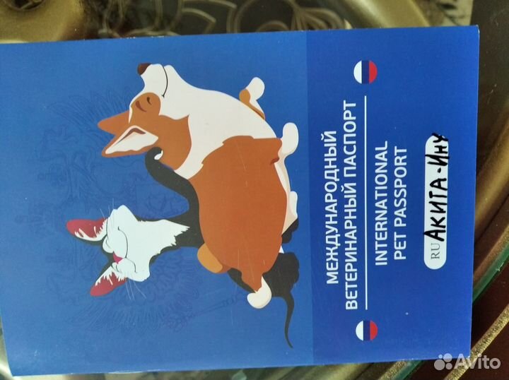 Продается собака