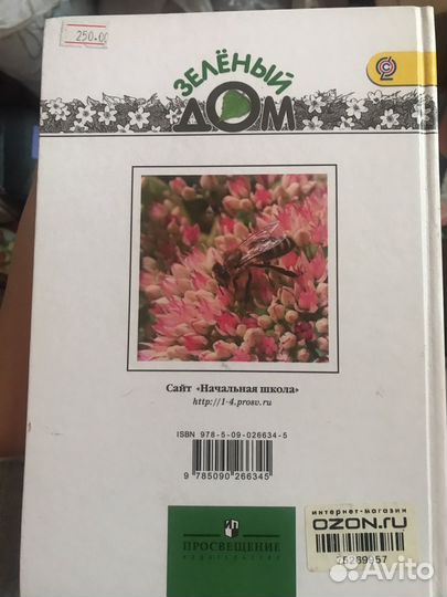 Учебники начальная школа Плешаков
