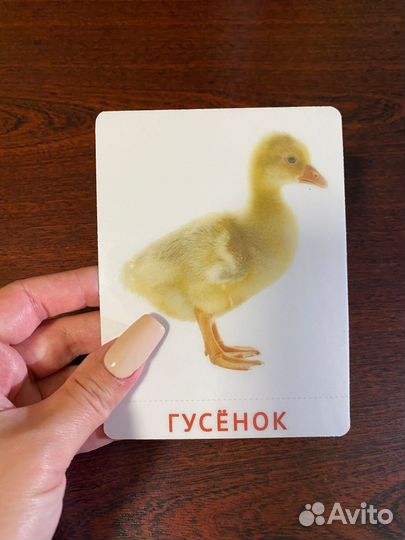 Печать фотографий, документов, распечатать