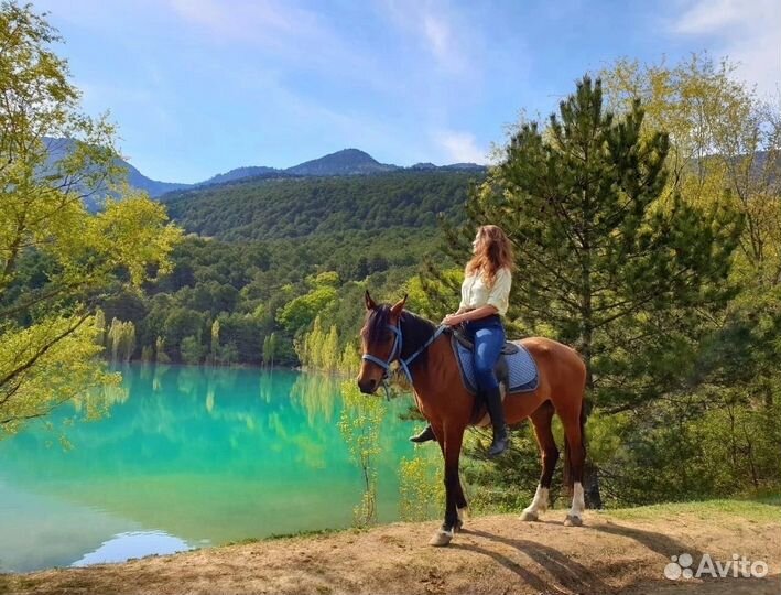 Конные прогулки. Экскурсии на лошадях
