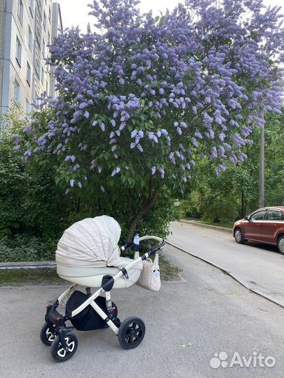 Коляска 3в1 Adamex Barletto