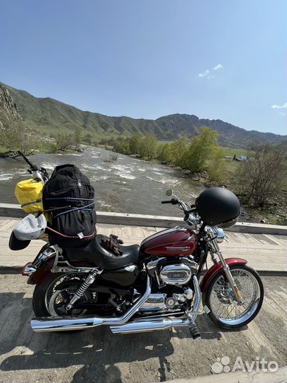 Harley Davidson Sportster XL 1200 Custom