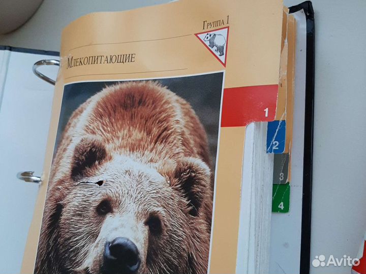 Книги энциклопедии детские