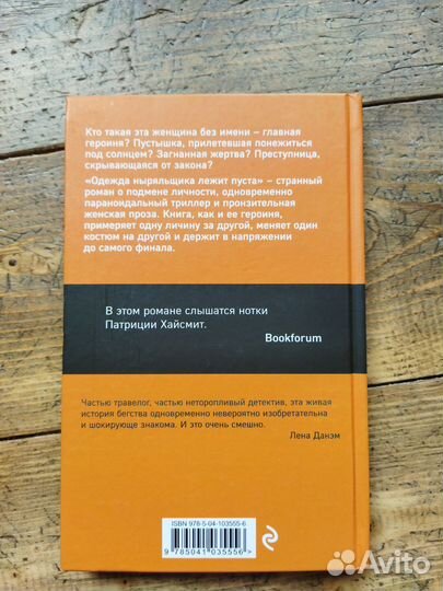 Книга. Одежда ныряльщика лежит пуста. Вендела Вида