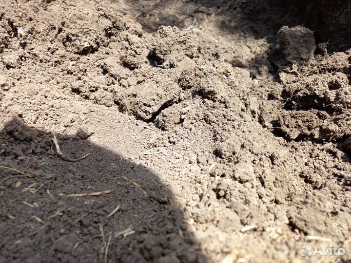 Чернозем верх слой Перегной сыпец,ЗИЛ 6Т,газ,камаз