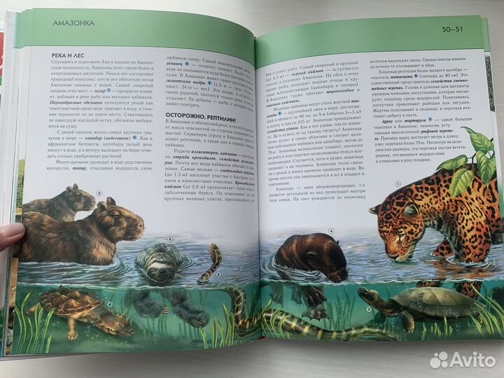 Детская энциклопедия новая 4 тома