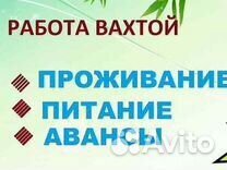 Без опыта / Вахта / Упаковщик(ца) бортпитания