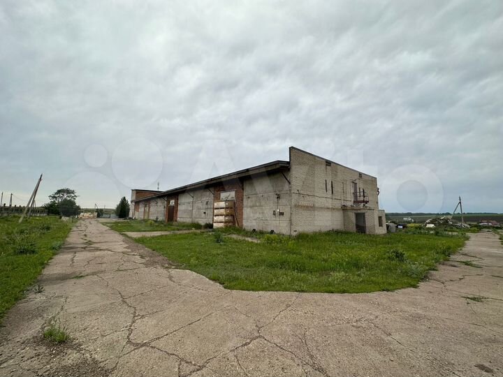 Свободного назначения, 2000 м²