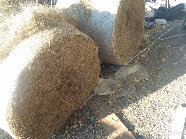 Сено в тюках
