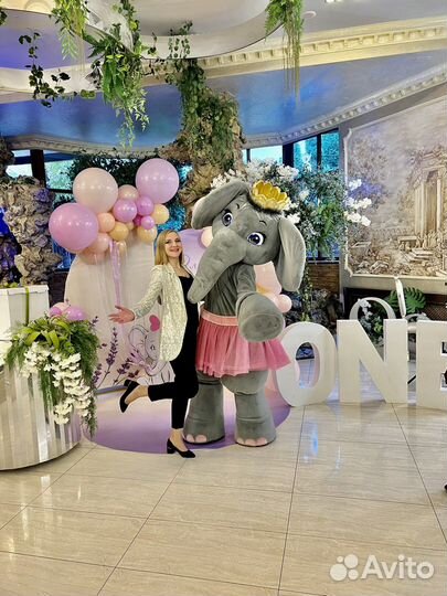 Свадьба Юбилей поющая Ведущая+DJ