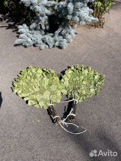 Веники для бани