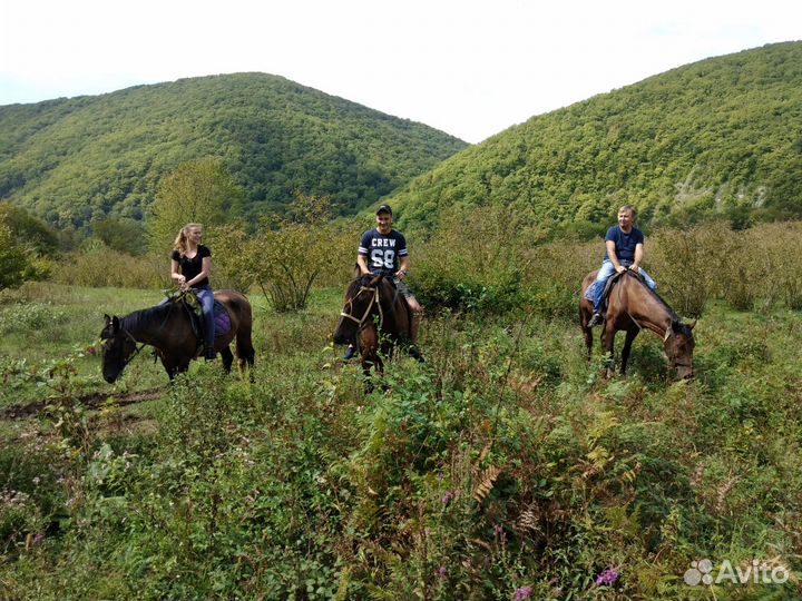 Конные прогулки