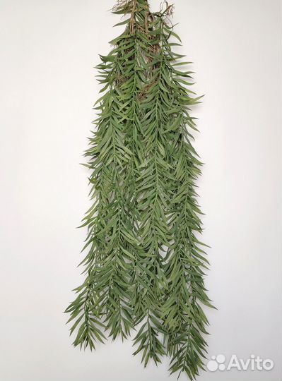 Растения для деталей бамбук с корешком опт