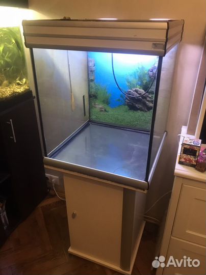 Аквариум/террариум