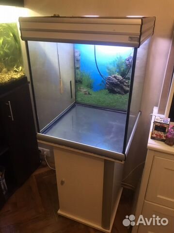 Аквариум/террариум