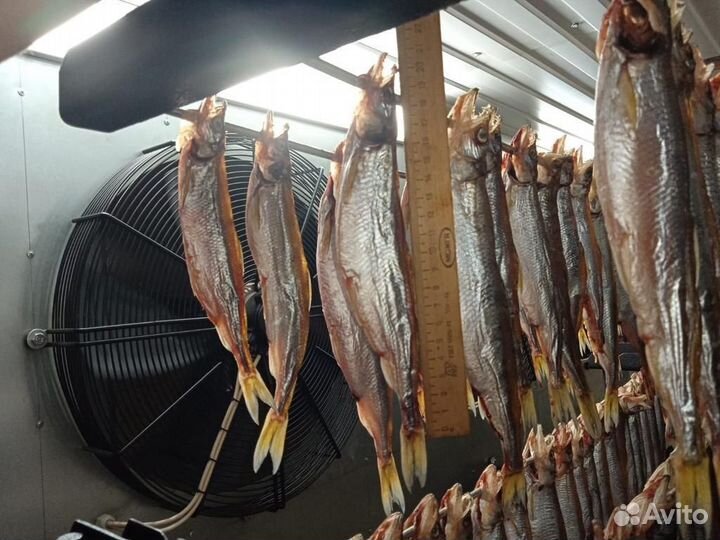 Рыба вяленая, х.копчения, св.мороженая