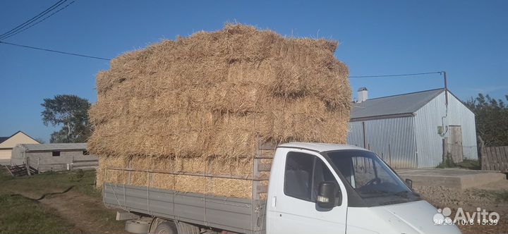 Рисовая солома