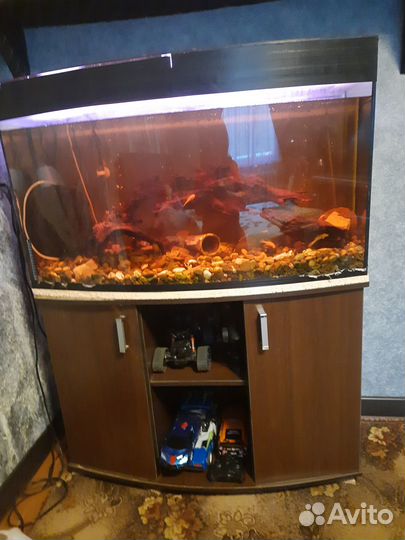Аквариум панорамный с тумбой