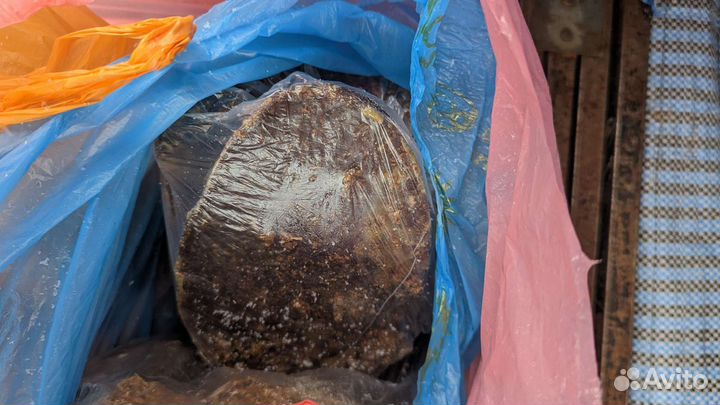 Натуральный Прополис