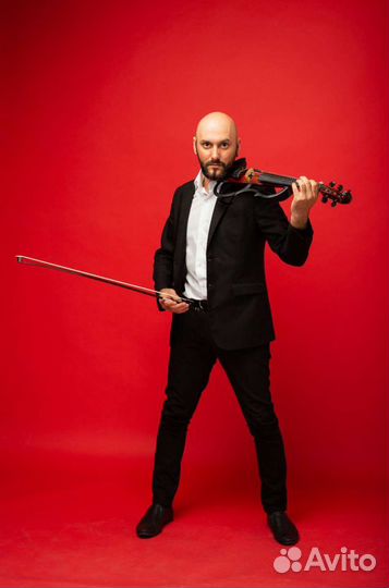 Скрипач, Скрипичное сопровождение мероприятий