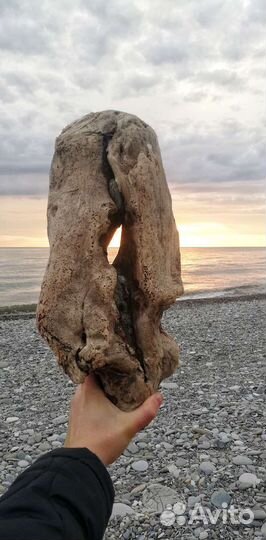 Коряга дрифтвуд для аквариума, и творческих идей