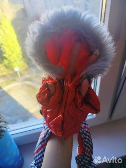 Комбинезон для собак мелких пород