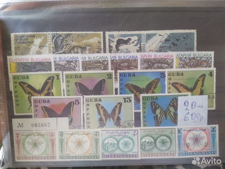 Почтовые марки животные