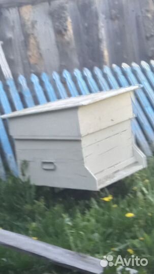 Улей и пчелы