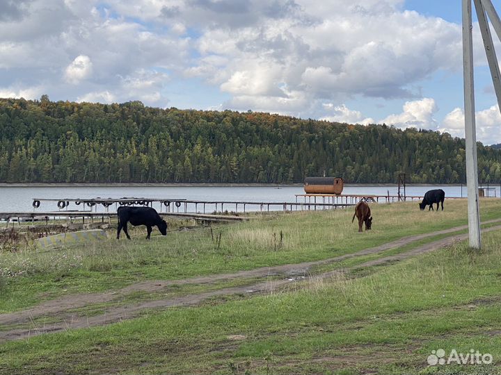Русская баня,отдых на Павловском водохранилище