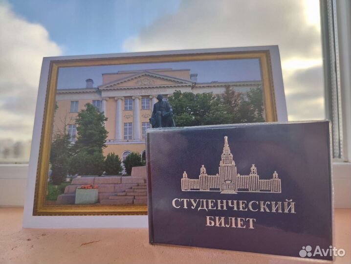 Репетитор по русскому языку и литературе